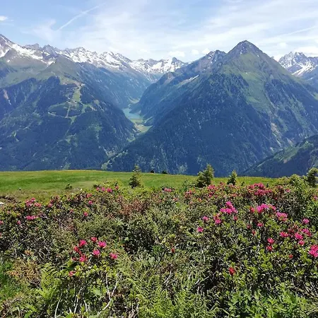Pensjonat Gaestehaus Tramnitz