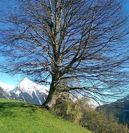 Gaestehaus Tramnitz * Mayrhofen