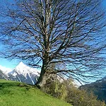Gaestehaus Tramnitz 3* Mayrhofen